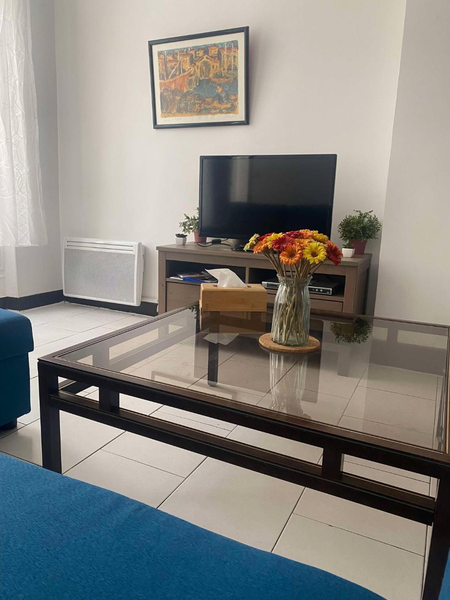 Appartement Joli T2 Refait à Neuf, Lumineux Et Accessible